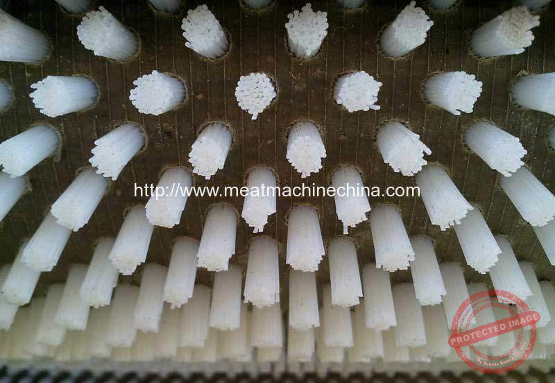 Automatic-Fish-Scale-Peeling-Machine