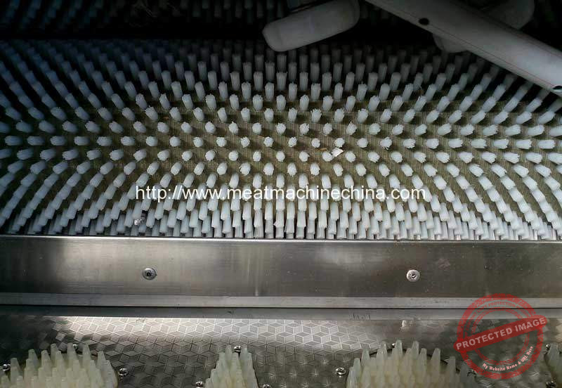 Automatic-Fish-Scale-Removing-Machine-Brush