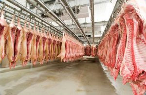 Pork Meat Processing Industry Introduction