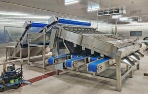 Automatic Fresh Shrimp Size Sorting Grading Machine